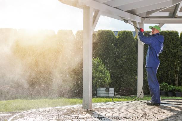 Best Sidewalk and Walkway Cleaning  in Williams, CA