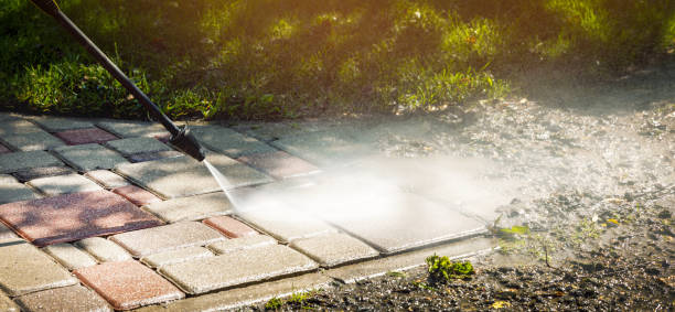Best Animal Enclosure Cleaning  in Williams, CA